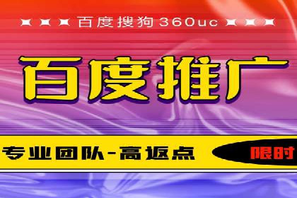 百度竞价广告成功案例：如何实现ROI最大化